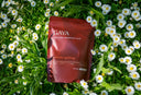 A Calmer Alternative to Coffee: Meet GAYA Functional Mushroom Cacao