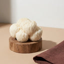 Lion’s Mane for Focus: What to Know Before You Try It